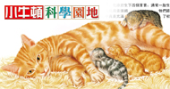 小牛頓科學園地85期