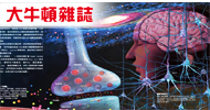 大牛頓雜誌256期