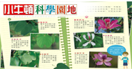 小牛頓科學園地238期